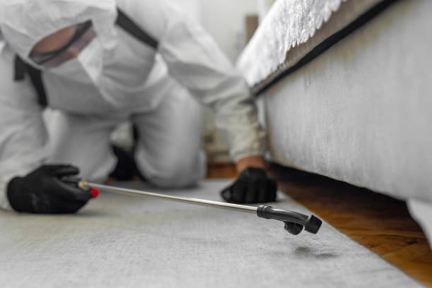Professional Pest Control technician working in Chittenango, NY
