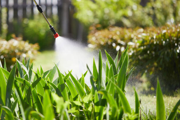 24/7 Emergency Pest Control experts in Chittenango, NY